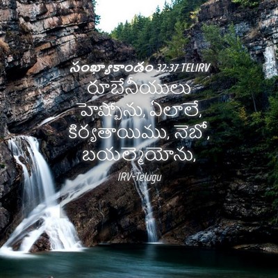 Picture 04 - సంఖ్యాకాండం 32:37 TELIRV - రూబేనీయులు - Bible Verse Picture