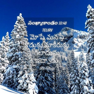 Picture 04 - సంఖ్యాకాండం 32:40 TELIRV - మోషే మనష్షే - Bible Verse Picture