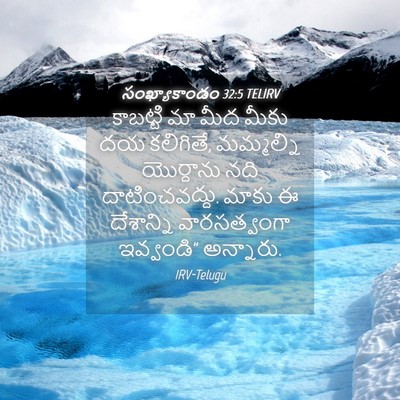 Picture 04 - సంఖ్యాకాండం 32:5 TELIRV - కాబట్టి మా మీద - Bible Verse Picture