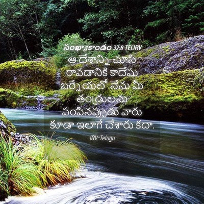 Picture 04 - సంఖ్యాకాండం 32:8 TELIRV - ఆ దేశాన్ని చూసి - Bible Verse Picture