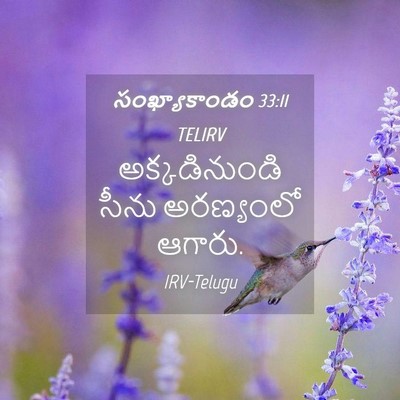 Picture 04 - సంఖ్యాకాండం 33:11 TELIRV - అక్కడినుండి సీను - Bible Verse Picture