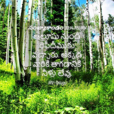 Picture 04 - సంఖ్యాకాండం 33:14 TELIRV - ఆలూషు నుండి - Bible Verse Picture