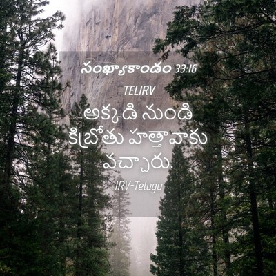 Picture 04 - సంఖ్యాకాండం 33:16 TELIRV - అక్కడి నుండి - Bible Verse Picture