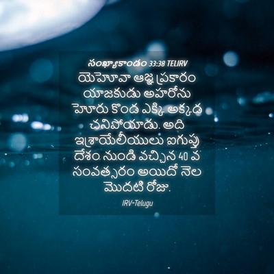 Picture 04 - సంఖ్యాకాండం 33:38 TELIRV - యెహోవా ఆజ్ఞ - Bible Verse Picture