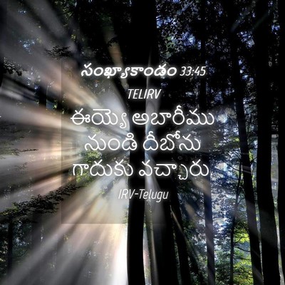 Picture 04 - సంఖ్యాకాండం 33:45 TELIRV - ఈయ్యె అబారీము - Bible Verse Picture