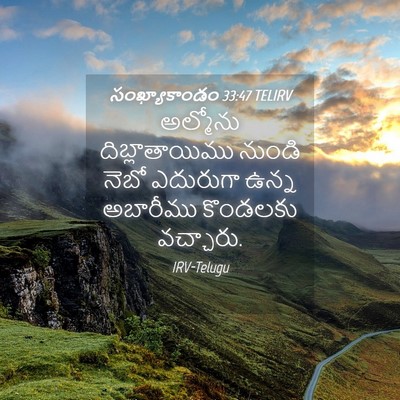 Picture 04 - సంఖ్యాకాండం 33:47 TELIRV - అల్మోను - Bible Verse Picture
