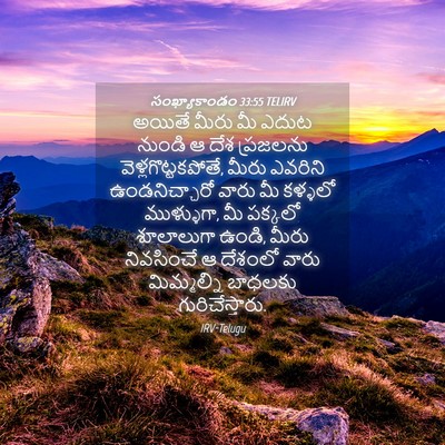 Picture 04 - సంఖ్యాకాండం 33:55 TELIRV - అయితే మీరు మీ ఎదుట - Bible Verse Picture