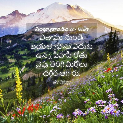 Picture 04 - సంఖ్యాకాండం 33:7 TELIRV - ఏతాము నుండి - Bible Verse Picture