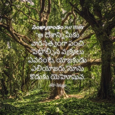 Picture 04 - సంఖ్యాకాండం 34:17 TELIRV - “ఆ దేశాన్నిమీకు - Bible Verse Picture