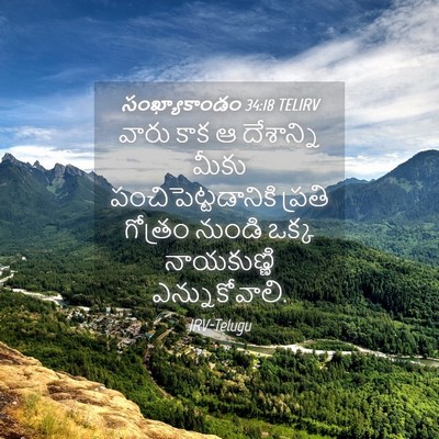 Picture 04 - సంఖ్యాకాండం 34:18 TELIRV - వారు కాక ఆ - Bible Verse Picture
