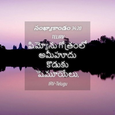 Picture 04 - సంఖ్యాకాండం 34:20 TELIRV - షిమ్యోను గోత్రంలో - Bible Verse Picture