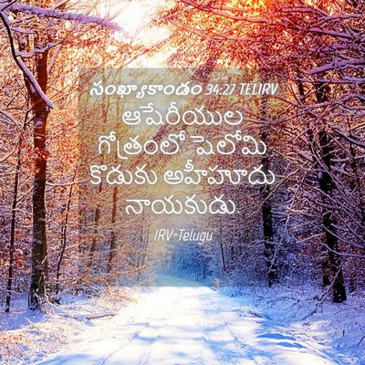 Picture 04 - సంఖ్యాకాండం 34:27 TELIRV - ఆషేరీయుల గోత్రంలో - Bible Verse Picture