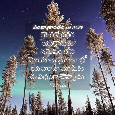 Picture 04 - సంఖ్యాకాండం 35:1 TELIRV - యెరికో దగ్గర - Bible Verse Picture