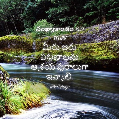 Picture 04 - సంఖ్యాకాండం 35:13 TELIRV - మీరు ఆరు - Bible Verse Picture