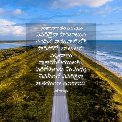 Picture 04 - సంఖ్యాకాండం 35:15 TELIRV - ఎవరినైనా పొరబాటున - Bible Verse Picture