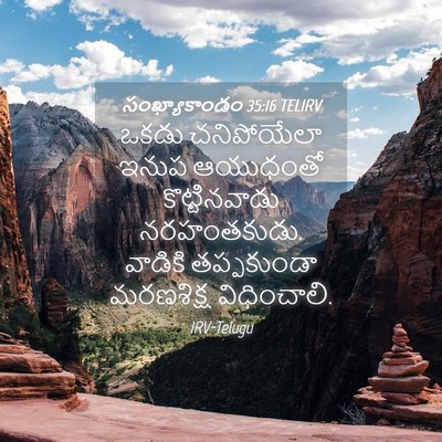 Picture 04 - సంఖ్యాకాండం 35:16 TELIRV - ఒకడు చనిపోయేలా - Bible Verse Picture