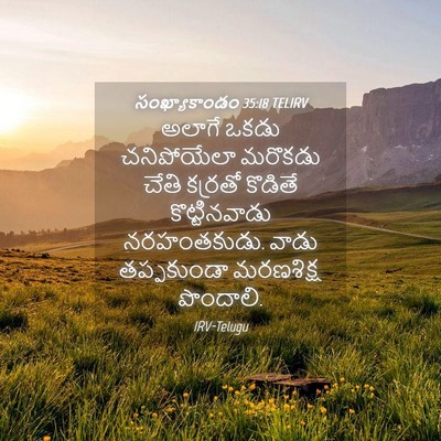 Picture 04 - సంఖ్యాకాండం 35:18 TELIRV - అలాగే ఒకడు - Bible Verse Picture