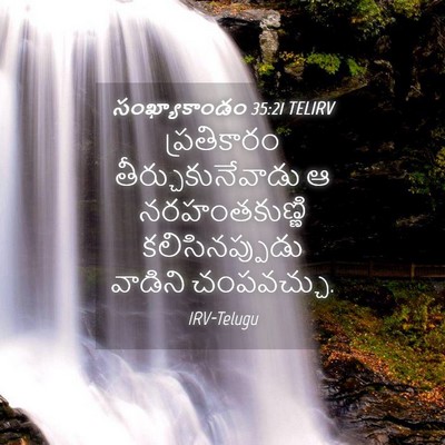 Picture 04 - సంఖ్యాకాండం 35:21 TELIRV - ప్రతికారం - Bible Verse Picture