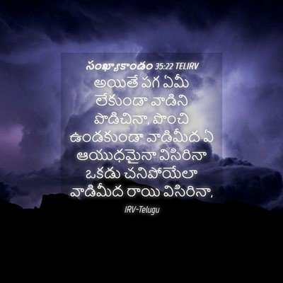 Picture 04 - సంఖ్యాకాండం 35:22 TELIRV - అయితే పగ ఏమీ - Bible Verse Picture