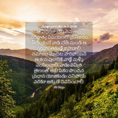 Picture 04 - సంఖ్యాకాండం 35:25 TELIRV - ఆ విధంగా చేసి - Bible Verse Picture