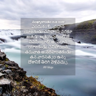 Picture 04 - సంఖ్యాకాండం 35:28 TELIRV - ఎందుకంటే, ప్రధాన - Bible Verse Picture