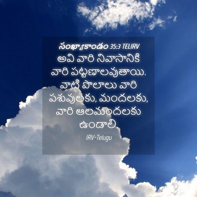 Picture 04 - సంఖ్యాకాండం 35:3 TELIRV - అవి వారి - Bible Verse Picture