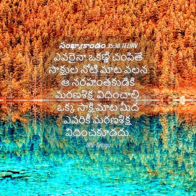 Picture 04 - సంఖ్యాకాండం 35:30 TELIRV - ఎవరైనా ఒకణ్ణి - Bible Verse Picture