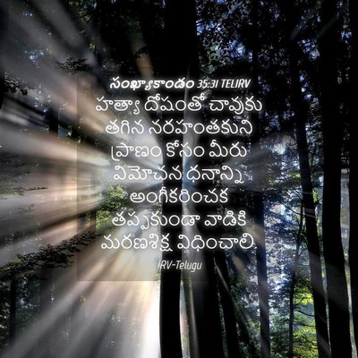 Picture 04 - సంఖ్యాకాండం 35:31 TELIRV - హత్యా దోషంతో - Bible Verse Picture