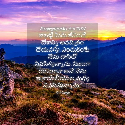 Picture 04 - సంఖ్యాకాండం 35:34 TELIRV - కాబట్టి మీరు - Bible Verse Picture