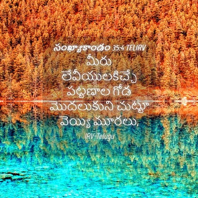 Picture 04 - సంఖ్యాకాండం 35:4 TELIRV - మీరు - Bible Verse Picture