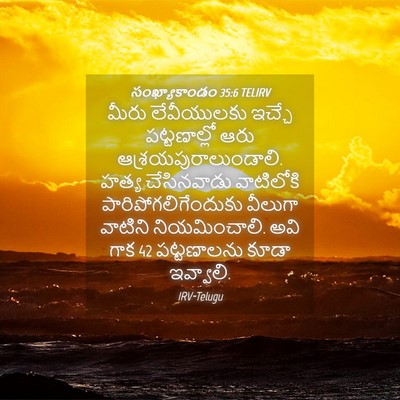 Picture 04 - సంఖ్యాకాండం 35:6 TELIRV - మీరు లేవీయులకు - Bible Verse Picture