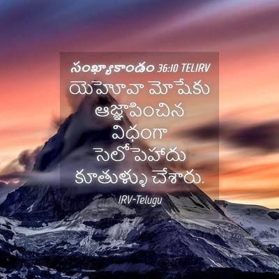 Picture 04 - సంఖ్యాకాండం 36:10 TELIRV - యెహోవా మోషేకు - Bible Verse Picture