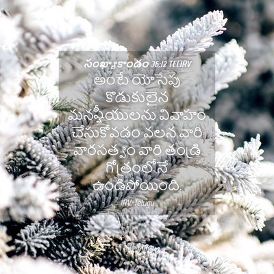 Picture 04 - సంఖ్యాకాండం 36:12 TELIRV - అంటే యోసేపు - Bible Verse Picture