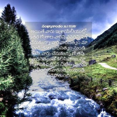 Picture 04 - సంఖ్యాకాండం 36:3 TELIRV - అయితే వారు - Bible Verse Picture