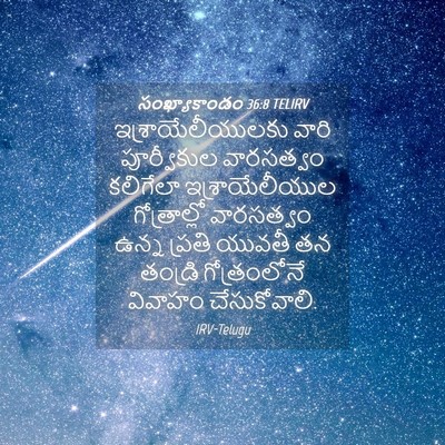 Picture 04 - సంఖ్యాకాండం 36:8 TELIRV - ఇశ్రాయేలీయులకు - Bible Verse Picture