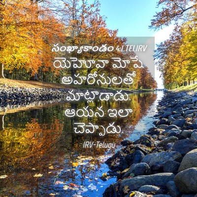Picture 04 - సంఖ్యాకాండం 4:1 TELIRV - యెహోవా మోషే - Bible Verse Picture