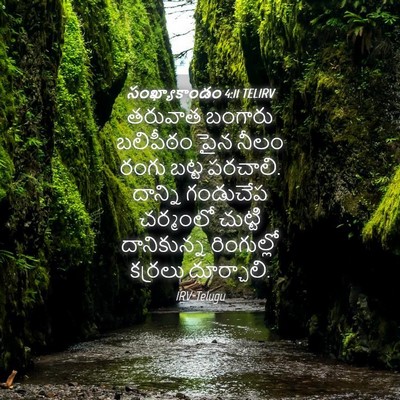 Picture 04 - సంఖ్యాకాండం 4:11 TELIRV - తరువాత బంగారు - Bible Verse Picture