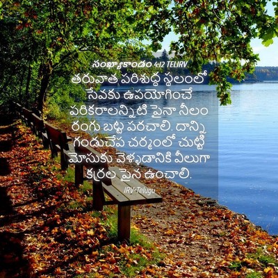Picture 04 - సంఖ్యాకాండం 4:12 TELIRV - తరువాత పరిశుద్ధ - Bible Verse Picture