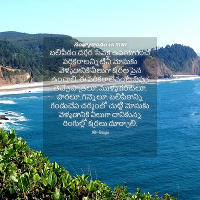 Picture 04 - సంఖ్యాకాండం 4:14 TELIRV - బలిపీఠం దగ్గర - Bible Verse Picture