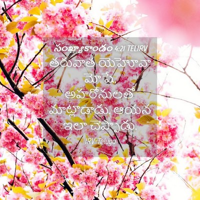 Picture 04 - సంఖ్యాకాండం 4:21 TELIRV - తరువాత యెహోవా - Bible Verse Picture