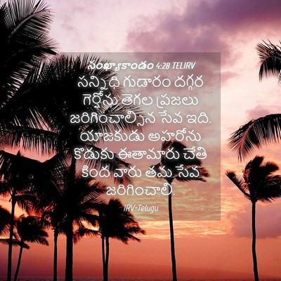 Picture 04 - సంఖ్యాకాండం 4:28 TELIRV - సన్నిధి గుడారం - Bible Verse Picture