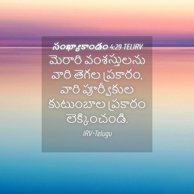Picture 04 - సంఖ్యాకాండం 4:29 TELIRV - మెరారి వంశస్తులను - Bible Verse Picture
