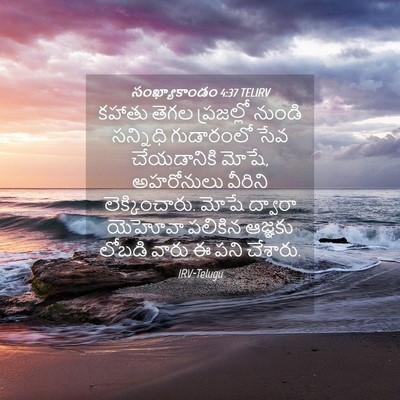 Picture 04 - సంఖ్యాకాండం 4:37 TELIRV - కహాతు తెగల - Bible Verse Picture
