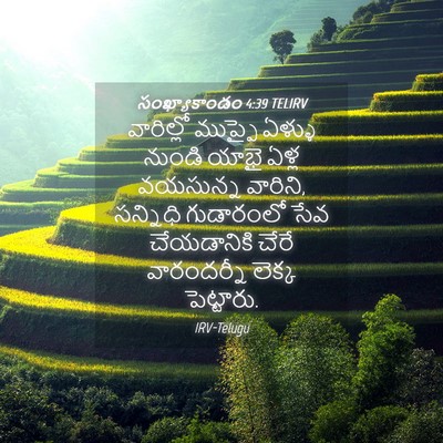Picture 04 - సంఖ్యాకాండం 4:39 TELIRV - వారిల్లో ముప్ఫై - Bible Verse Picture