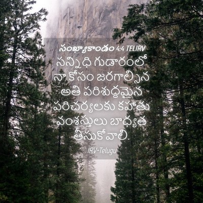 Picture 04 - సంఖ్యాకాండం 4:4 TELIRV - సన్నిధి గుడారంలో - Bible Verse Picture