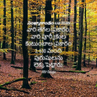 Picture 04 - సంఖ్యాకాండం 4:40 TELIRV - వారి తెగల ప్రకారం, - Bible Verse Picture