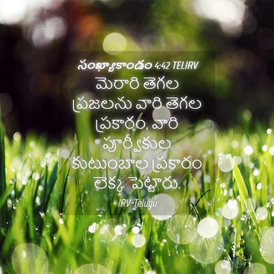 Picture 04 - సంఖ్యాకాండం 4:42 TELIRV - మెరారి తెగల - Bible Verse Picture