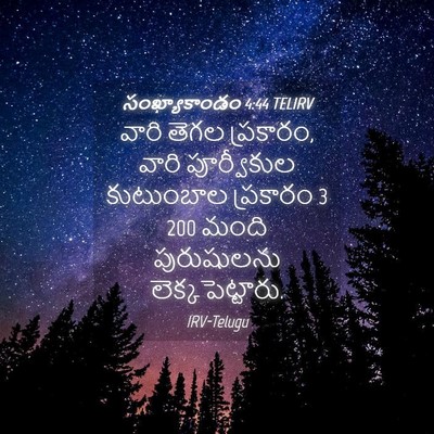 Picture 04 - సంఖ్యాకాండం 4:44 TELIRV - వారి తెగల ప్రకారం, - Bible Verse Picture