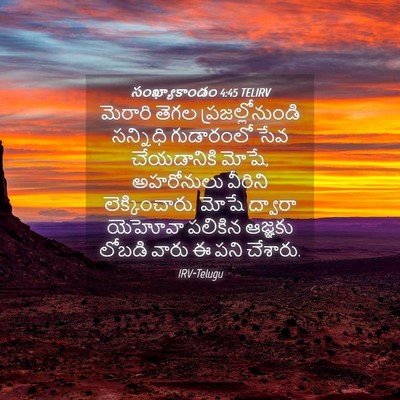 Picture 04 - సంఖ్యాకాండం 4:45 TELIRV - మెరారి తెగల - Bible Verse Picture