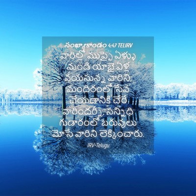 Picture 04 - సంఖ్యాకాండం 4:47 TELIRV - వారిల్లో ముప్ఫై - Bible Verse Picture